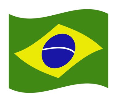 colorful flag of brazil texture