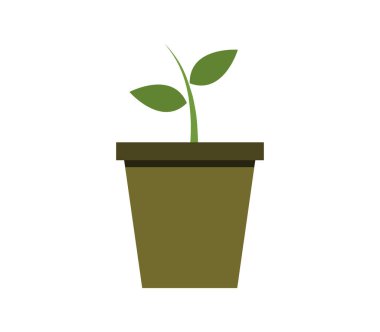 saksı resimli bitki simgesi