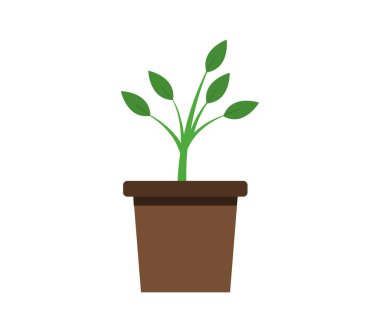 saksı resimli bitki simgesi