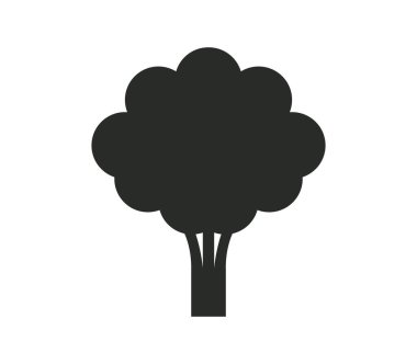 Beyaz arkaplanda brokoli simgesi