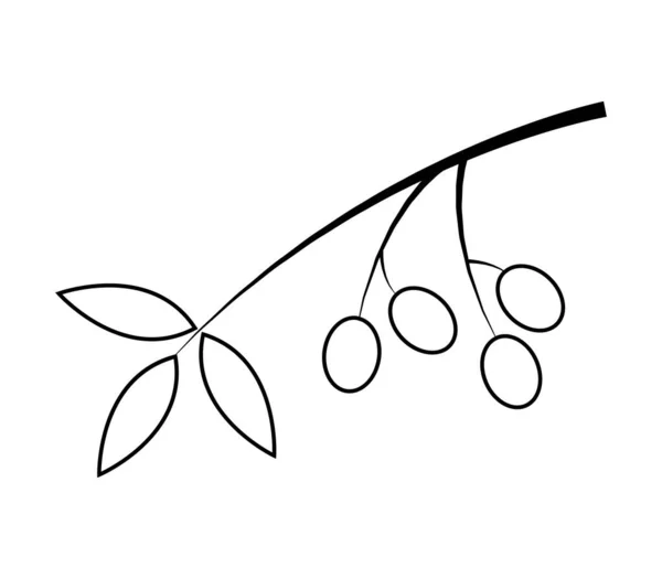 Icône Olives Sur Fond Blanc — Image vectorielle