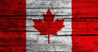 colorful texture of the flag of canada