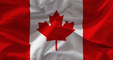 colorful texture of the flag of canada