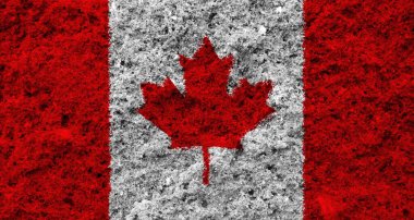 colorful texture of the flag of canada