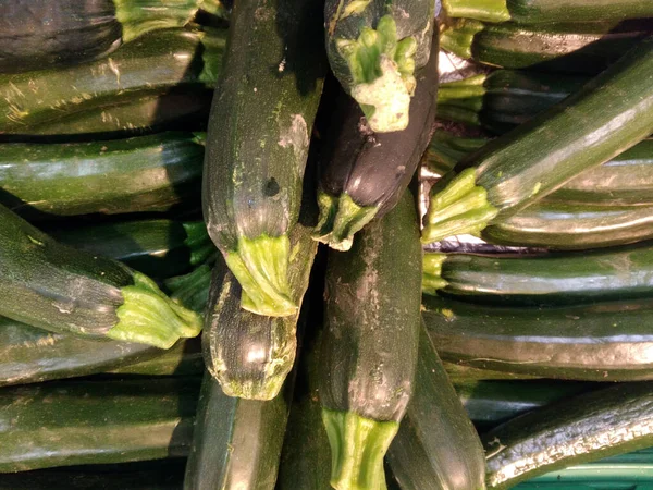 Close Shot Fresh Organic Cucumbers — Stock Photo, Image