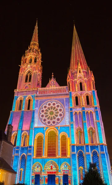 The Our Lady of Chartres cathedra at night l, France.