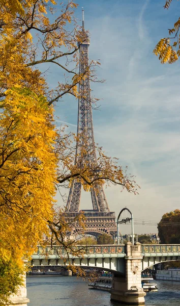 秋天一棵树和埃菲尔铁塔，巴黎，法国. — 图库照片