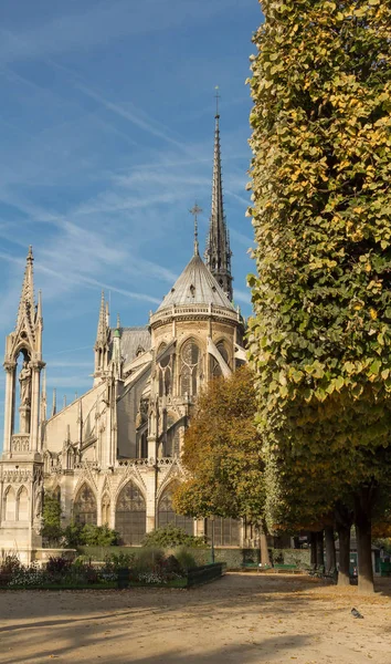 Cathédrale Notre Dame, Paris, France . — Photo
