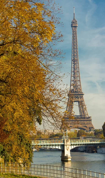 Jesienne drzewo i wieża Eiffel, Paryż, Francja. — Zdjęcie stockowe