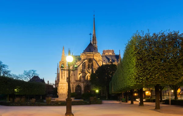 Cathédrale Notre Dame en soirée, Paris . — Photo