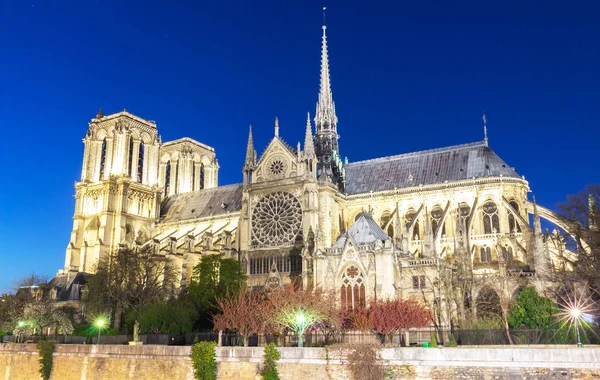 Catedral de Notre Dame por la noche, París . —  Fotos de Stock