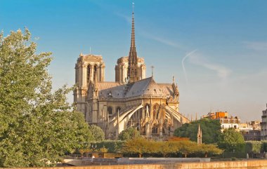 Notre Dame Katedrali, Paris, Fransa.