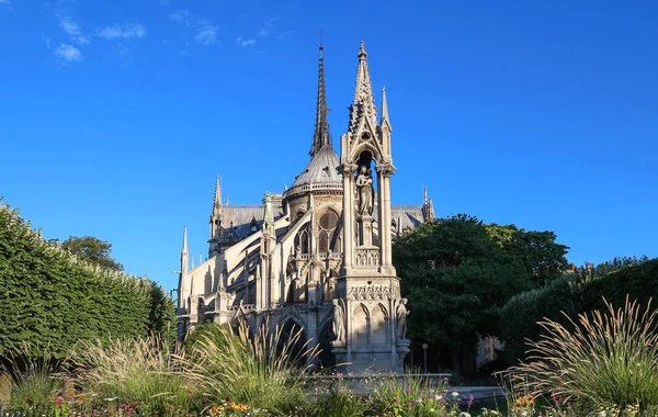 Katedra Notre Dame, Paryż, Francja. — Zdjęcie stockowe