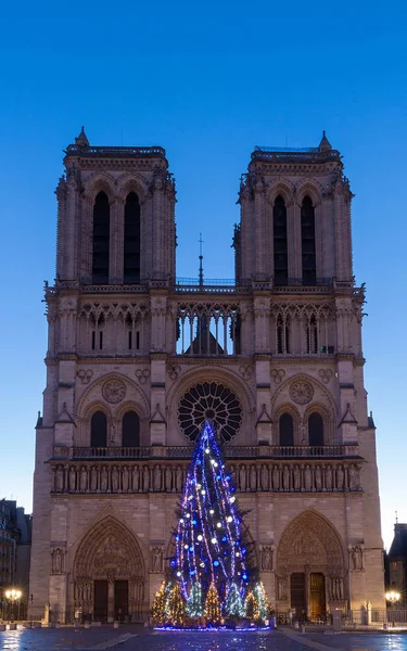 The Notre Dame Cathedral with Christmas tree - Paris, France — Stock Photo, Image