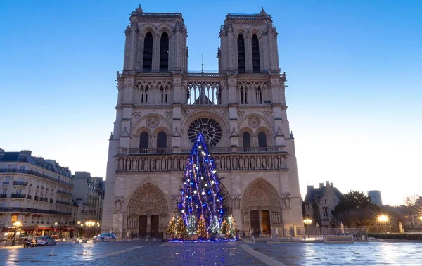 Notre Dame Katedrali ile Noel ağacı - Paris, Fransa