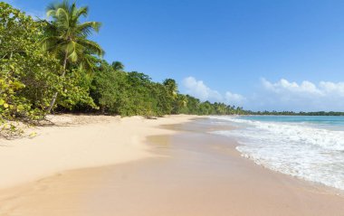 Caribbean beach, Martinique Adası.