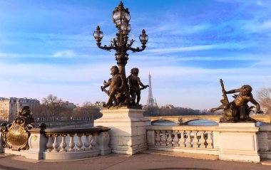 Alexandre III Köprüsü Köprüsü, Paris. Fransa.