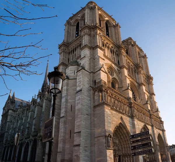Notre Dame tarihi Katolik Katedrali, Paris'te en çok ziyaret edilen anıtlarından olan. — Stok fotoğraf