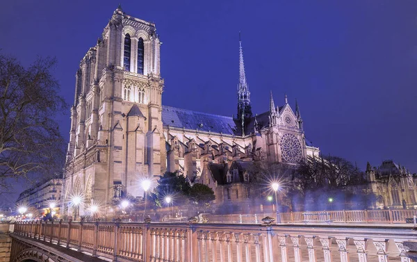 Notre Dame tarihi Katolik Katedrali, Paris'te en çok ziyaret edilen anıtlarından olan. — Stok fotoğraf