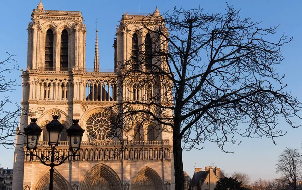 화창한 날, 파리, 프랑스에서 노 틀 담 성당. — 스톡 사진
