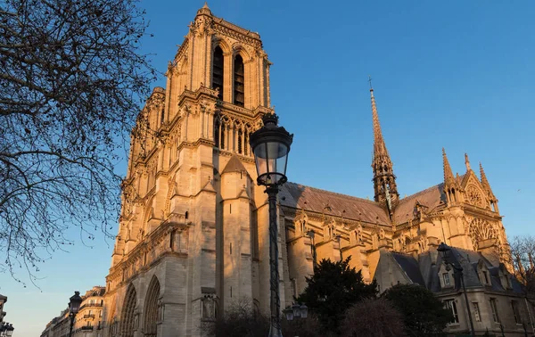 Notre Dame Katedrali, güneşli bir gün, Paris, Fransa. — Stok fotoğraf