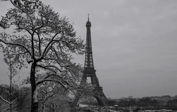 Черно-белая Эйфелева башня с голыми деревьями зимой, Париж, Франция . — стоковое фото