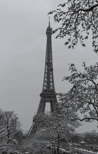 Der schwarz-weiße Eiffelturm mit kahlen Bäumen im Winter, Paris, Frankreich. — Stockfoto