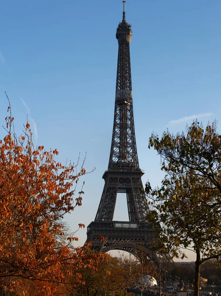 Piękny widok na jesienne drzewa z wieżą Eiffla na pierwszym planie w Paryżu. — Zdjęcie stockowe