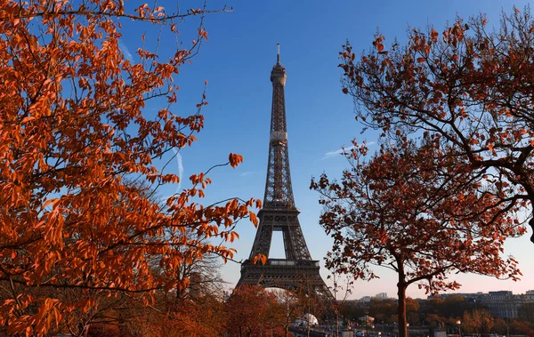 Piękny widok na jesienne drzewa z wieżą Eiffla na pierwszym planie w Paryżu. — Zdjęcie stockowe