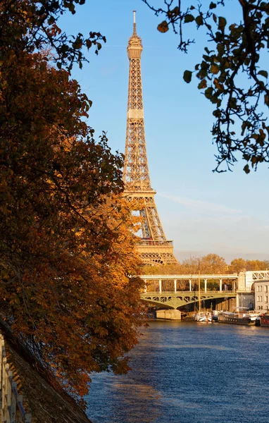 Piękny widok na jesienne drzewo z wieżą Eiffla na pierwszym planie w Paryżu. — Zdjęcie stockowe