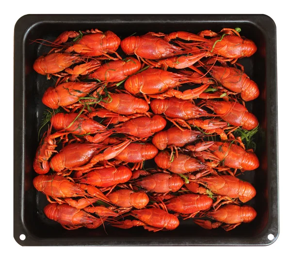 Pişmiş kırmızı kerevit