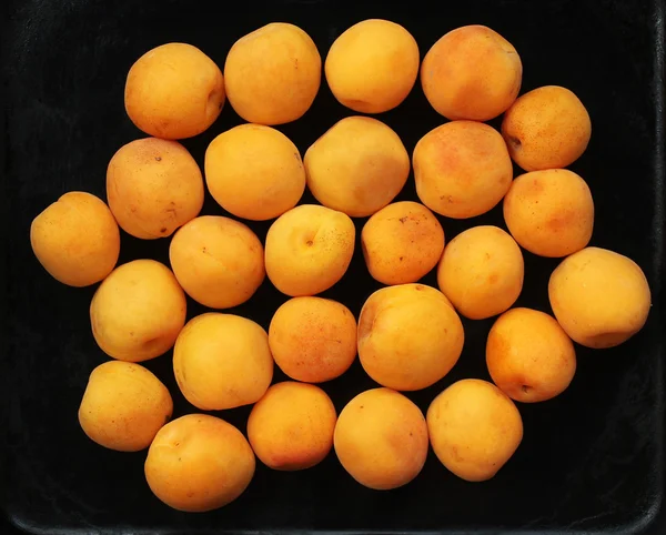 Kayısı kadar kapatın