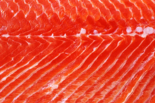 Somon fileto kadar kapatın