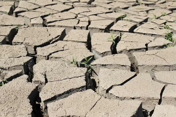 Kuru toprak kırık