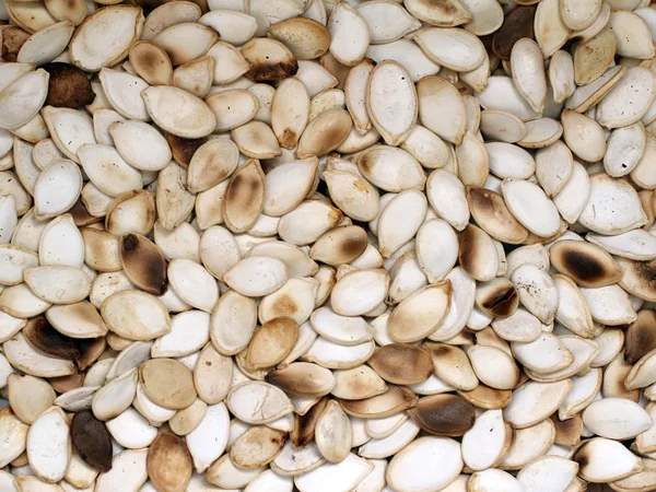 Kabak çekirdeği dokusu