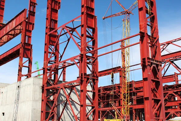 Çerçeveler bitkinin