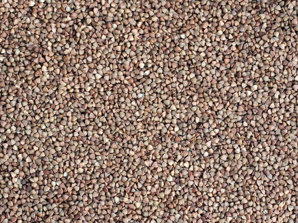 Karabuğday kapatmak doku