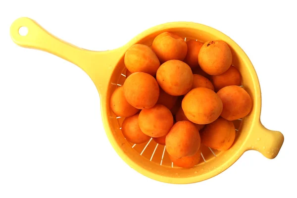 Sarı kayısı kadar kapatın