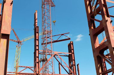 Çerçeveler bitkinin