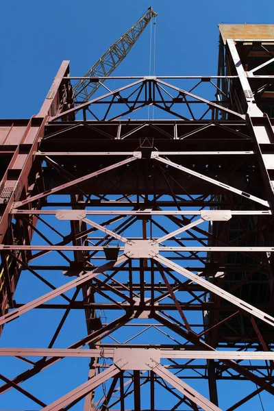 Çerçeveler bitkinin