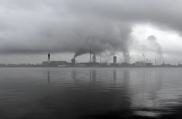 Bitki tarafından Çevre kirliliğinin