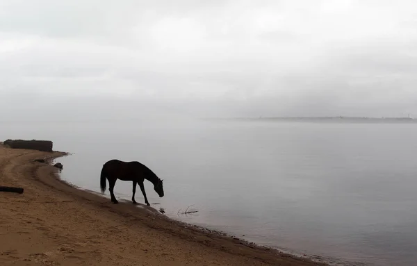 At riverside yakınındaki