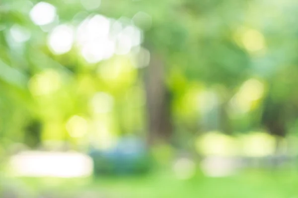 Bokeh bakgrund, natur oskärpa bakgrund — Stockfoto