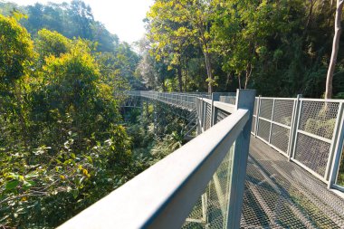 Gölgelik geçit, Kraliçe Sirikit Botanik Bahçesi