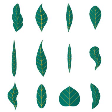 Tropikal palmiye ağaç dalları