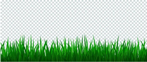 Grüner Grasrand auf transparentem Hintergrund. — Stockvektor