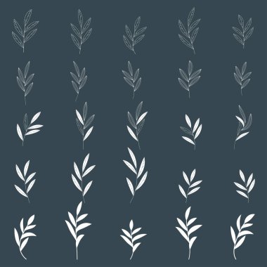 Abstract geometric natural elements. Leaves, blades of grass and twigs. clipart