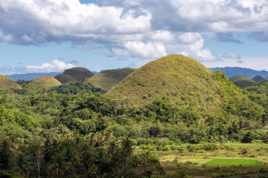 Chocolate Hills manzarası, Bohol 'un en ünlü turistik merkezi, Filipinler.