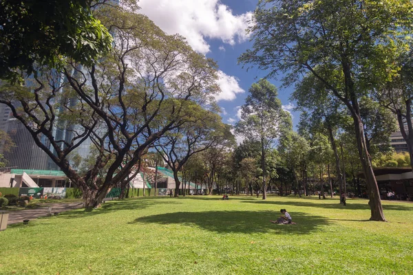 Metro Manila Filipijnen Februari 2020 Ayala Driehoek Tuinen Park Makati — Stockfoto