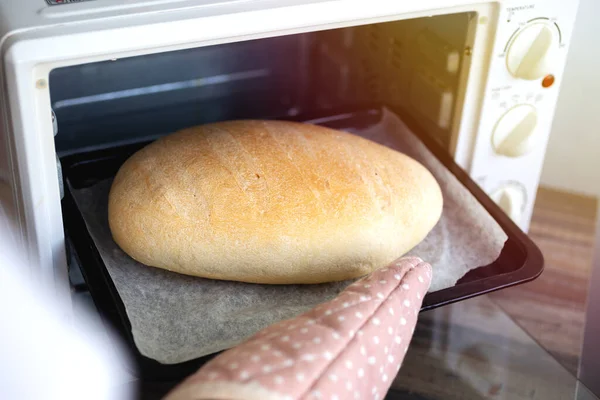 Close Pão Redondo Caseiro Bandeja Tirando Forno — Fotografia de Stock